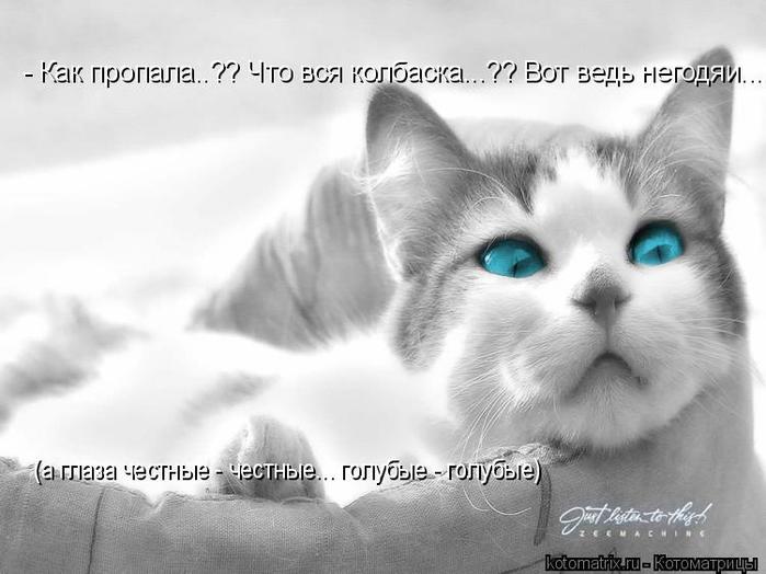 4743317_bk (700x524, 44Kb)