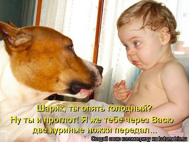 5672049_dc5e682e76 (620x465, 63Kb)