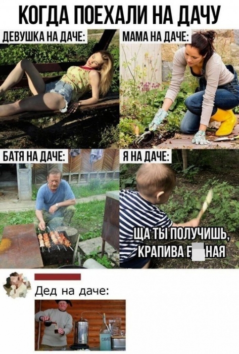 5672049_d0a1c77576 (473x700, 258Kb)