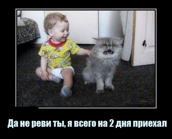 5672049_266fb70104 (550x443, 45Kb)