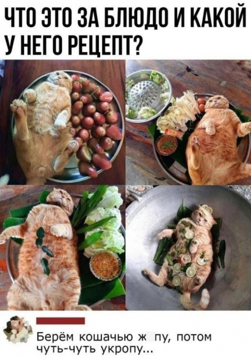 5672049_1abd276055 (490x700, 238Kb)