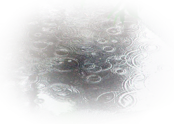  (200x125, 220Kb)