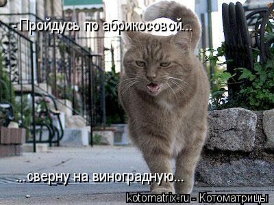 4743317_0 (400x300, 35Kb)