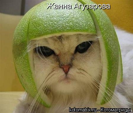 4743317_m (450x382, 28Kb)