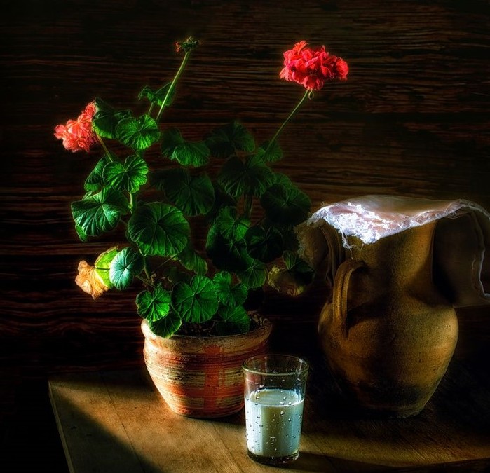 1996269_800n (700x675, 105Kb)