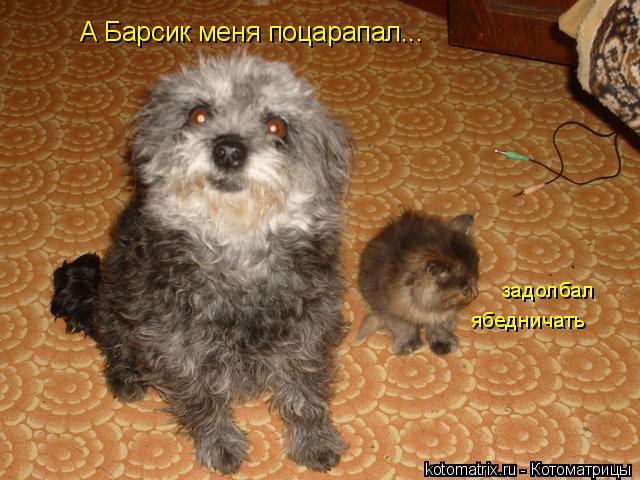 4743317_Ul (640x480, 62Kb)