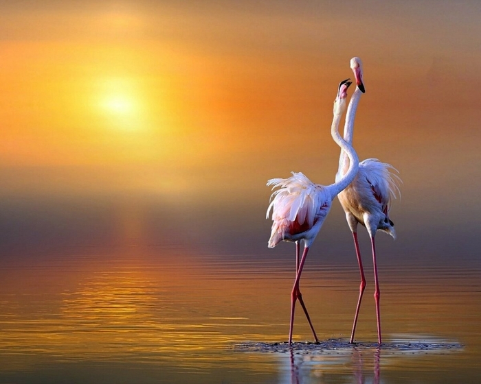 5152557_b43467 (700x560, 204Kb)