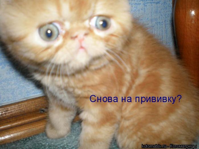 4743317_Ww (700x524, 39Kb)