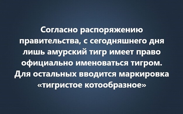 4743317_i_jpgyaya (626x391, 55Kb)