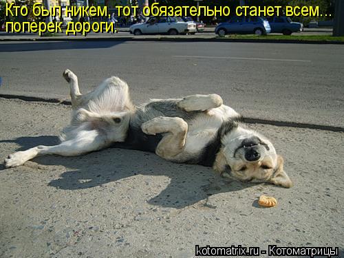 4743317_ES (500x375, 43Kb)