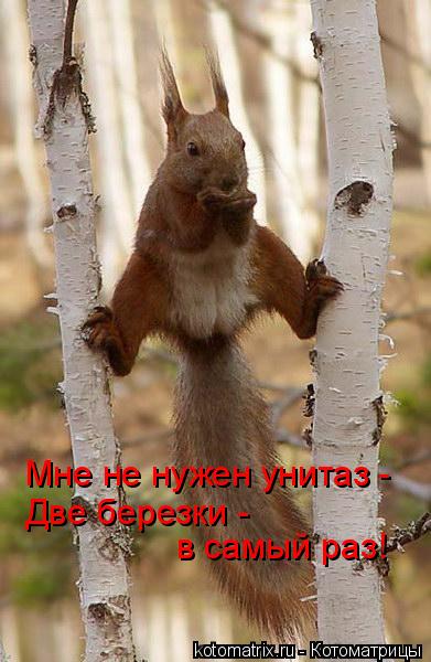 4743317_8Y (391x600, 45Kb)