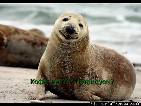 4743317_BK (600x450, 46Kb)