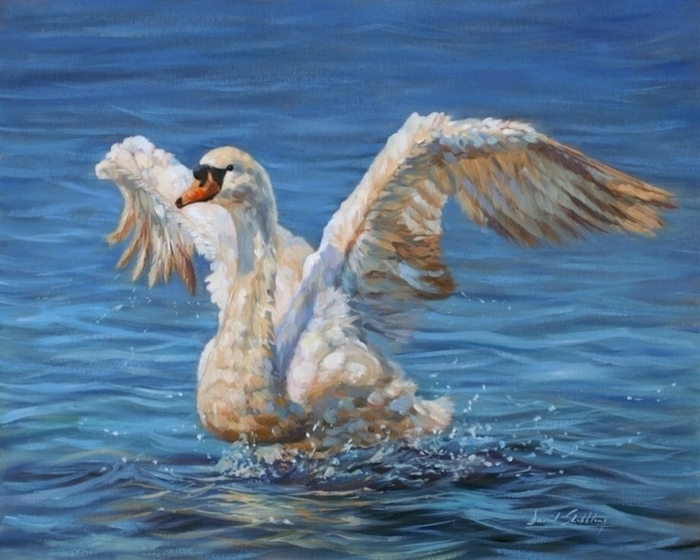 336374facb5d439b4d65e62a19443c39--swans-oil-on-canvas (700x560, 384Kb)