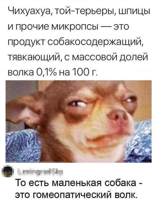 5672049_219388047_2185286178285100_965153624382367097_n (526x685, 51Kb)