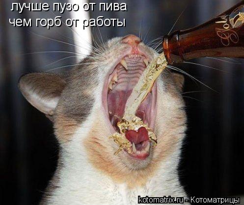 4743317_Fr_1_ (497x417, 37Kb)