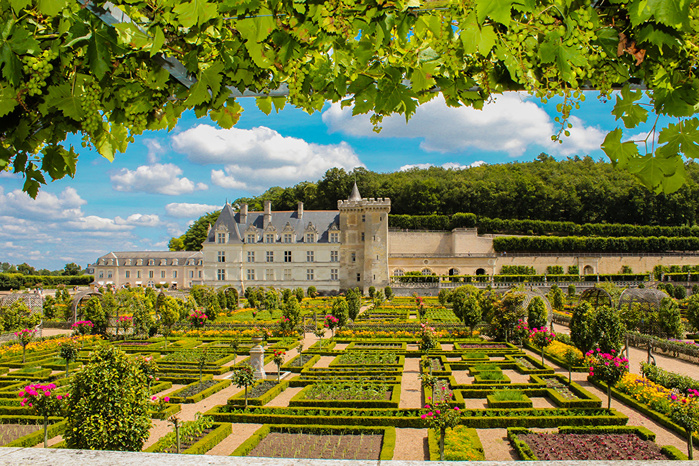 France_Castles_Gardens_Grapes_Chateau_and_Gardens_567731_1280x853 (900x666, 366Kb)