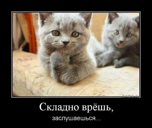 4743317_i_jpga (500x421, 32Kb)