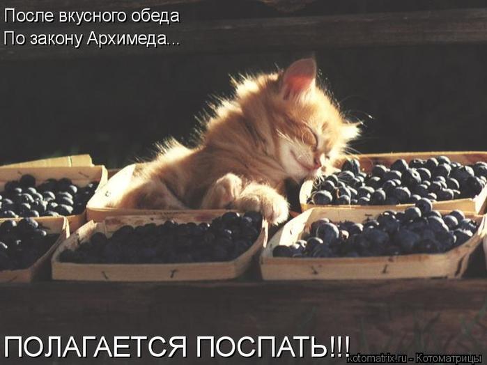 4743317_Dn (700x524, 45Kb)