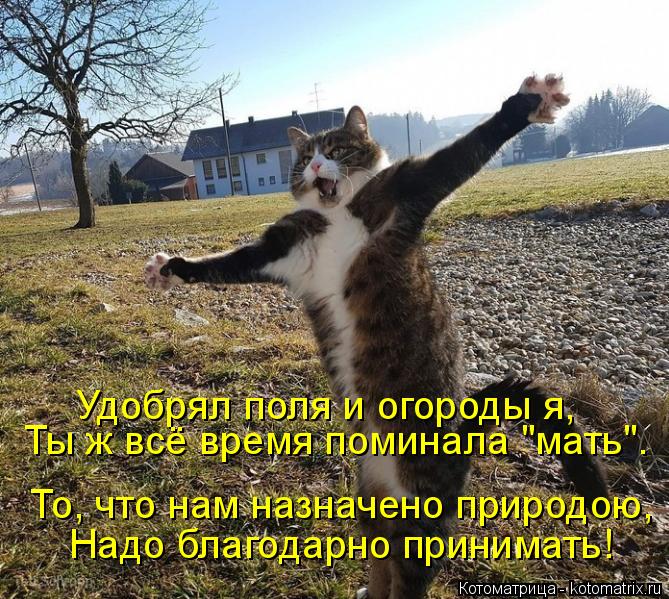 4743317_kotomatritsa_cJ_1_ (669x599, 124Kb)