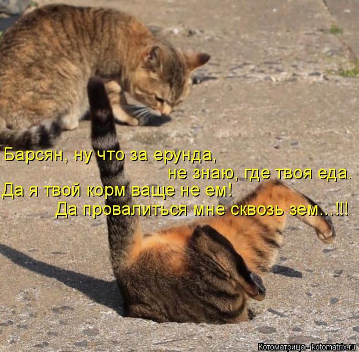 4743317_kotomatritsa_B_1_ (700x685, 89Kb)