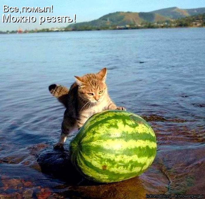 4743317_f0_1_ (700x678, 70Kb)
