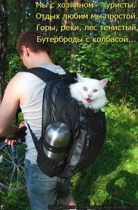 4743317_kotomatritsa_m_1_ (458x700, 69Kb)