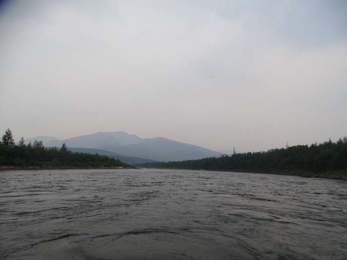 DSC00462 (700x525, 237Kb)