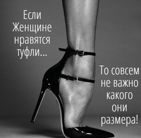 3416556_i_1_ (598x583, 66Kb)