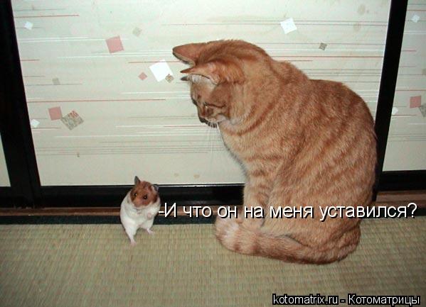 4743317_J9 (599x433, 40Kb)