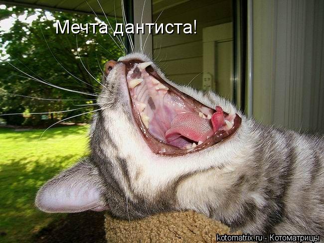 4743317_K7 (650x488, 74Kb)