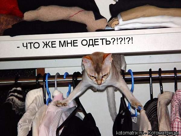 4743317_l_ (600x450, 46Kb)