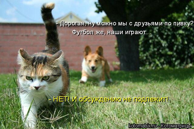 4743317_ak (640x427, 63Kb)
