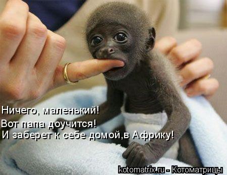 4743317_HB_jpgt (450x347, 29Kb)