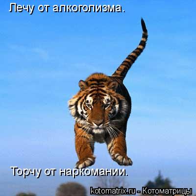 4743317_lP (400x400, 19Kb)