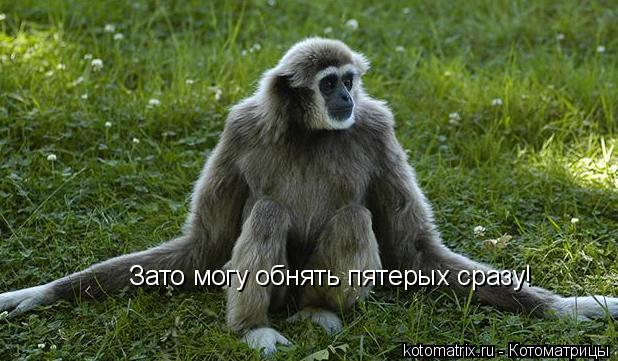 4743317_Gp (618x361, 54Kb)