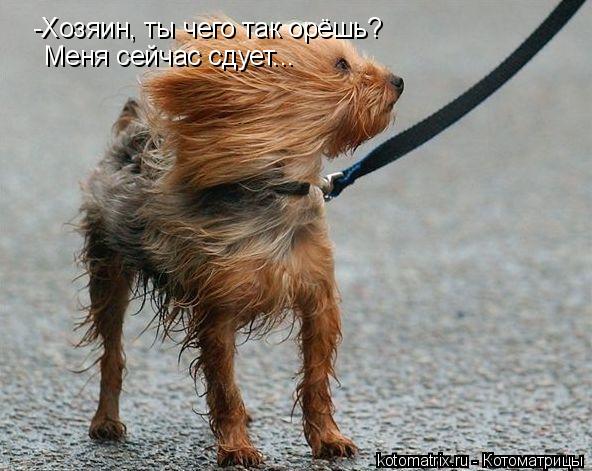 4743317_TA (592x471, 53Kb)