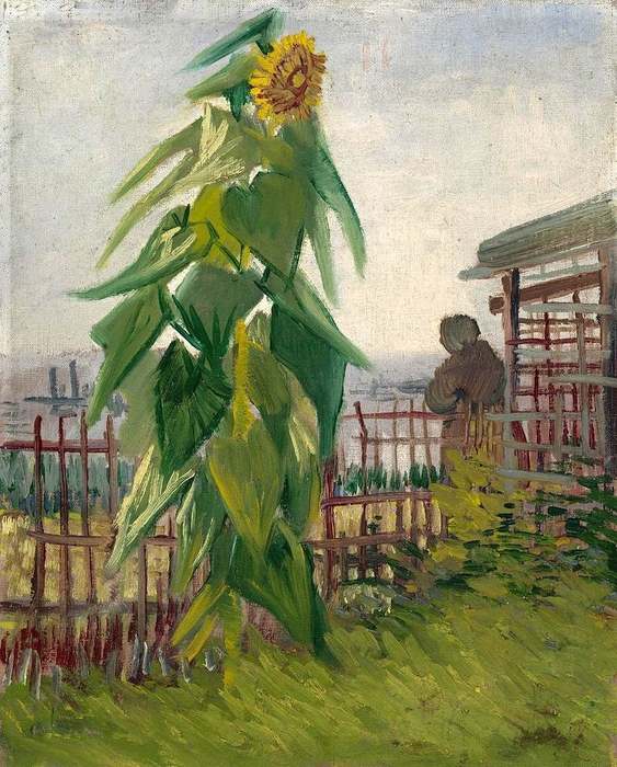 Vincent van Gogh (563x700, 69Kb)