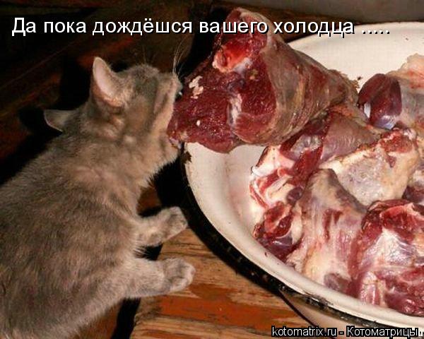 4743317_2y (600x480, 54Kb)
