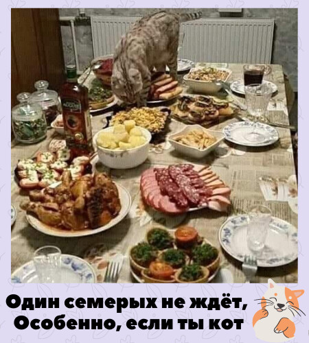 4743317_i_jpgii (450x500, 85Kb)