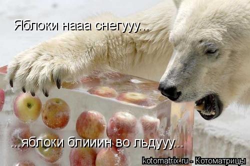 4743317_7R (500x333, 32Kb)