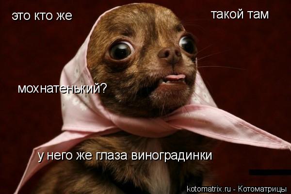 4743317_4i (600x400, 33Kb)