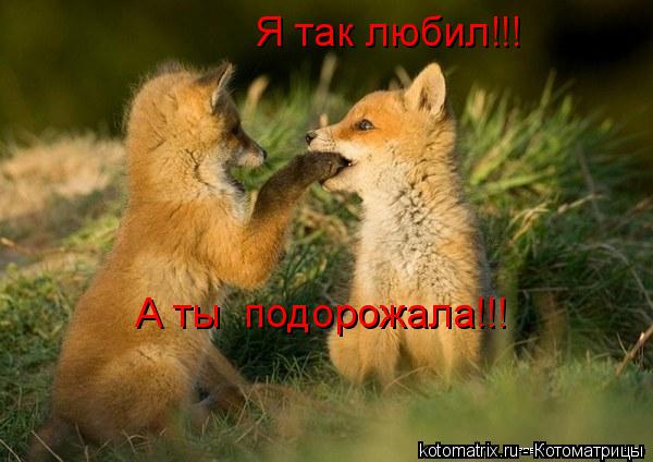 4743317_vg (600x424, 41Kb)