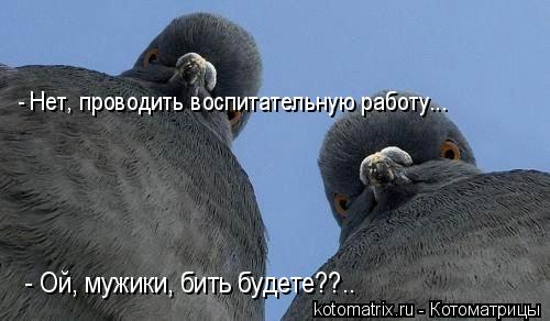 4743317_e1 (500x292, 27Kb)