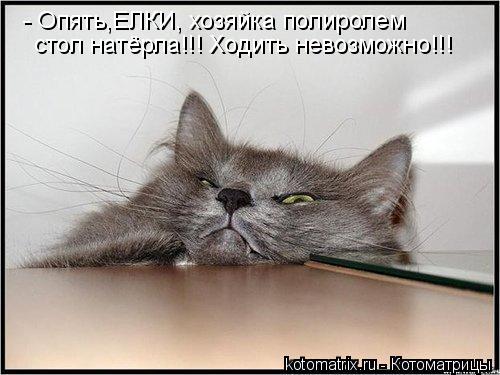 4743317_gW (500x375, 36Kb)