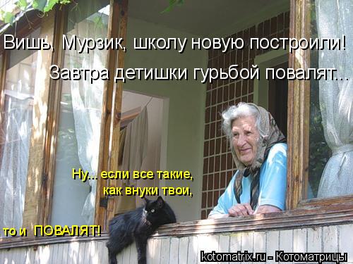 4743317_kotomatritsa_LD (500x375, 46Kb)