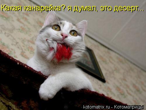 4743317_an (500x378, 28Kb)