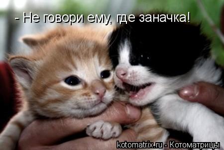 4743317_Wn (450x302, 21Kb)