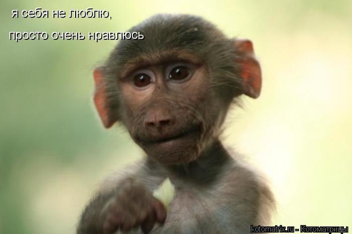 4743317_XD (700x465, 25Kb)