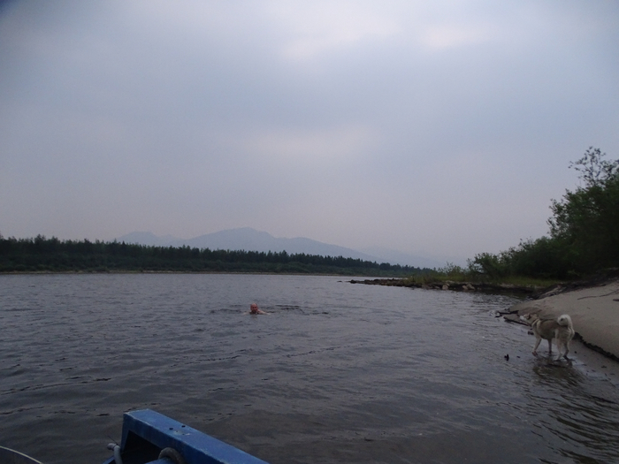 DSC00486 (700x525, 289Kb)