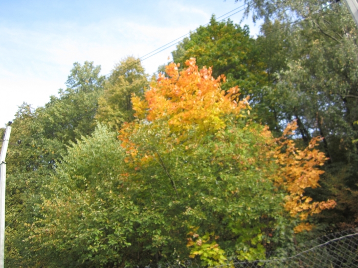 6969960_IMG_3057 (700x525, 308Kb)